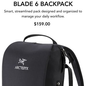 Backpack/briefcase